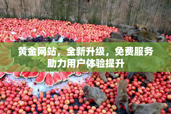 黄金网站，全新升级，免费服务助力用户体验提升