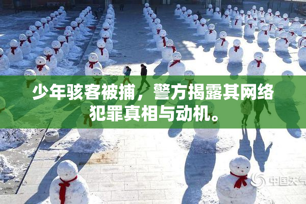 少年骇客被捕，警方揭露其网络犯罪真相与动机。