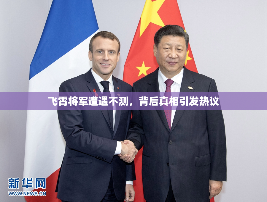 飞霄将军遭遇不测，背后真相引发热议