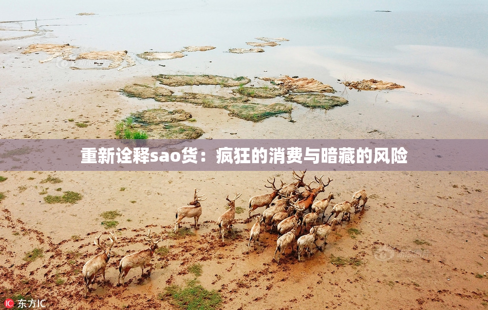 重新诠释sao货：疯狂的消费与暗藏的风险