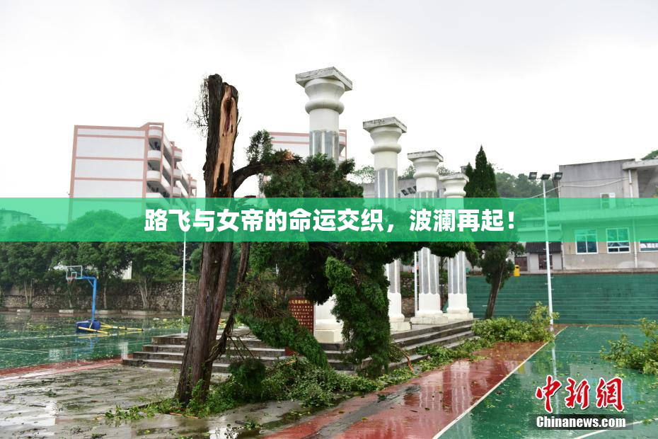 路飞与女帝的命运交织，波澜再起！
