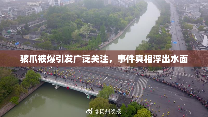 骇爪被爆引发广泛关注，事件真相浮出水面