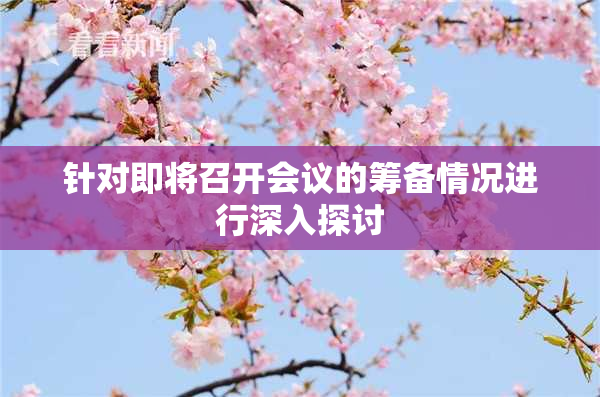 针对即将召开会议的筹备情况进行深入探讨