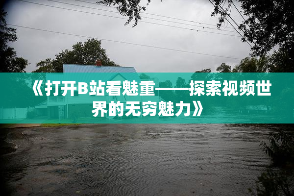 《打开B站看魅重——探索视频世界的无穷魅力》
