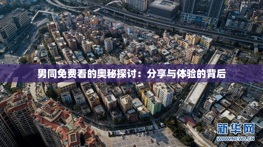 男同免费看的奥秘探讨：分享与体验的背后