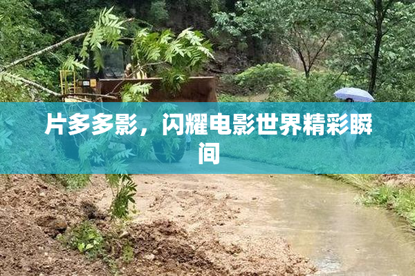 片多多影，闪耀电影世界精彩瞬间