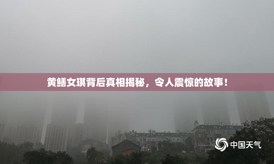 黄鳝女琪背后真相揭秘，令人震惊的故事！
