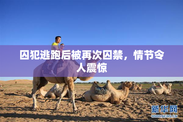囚犯逃跑后被再次囚禁，情节令人震惊