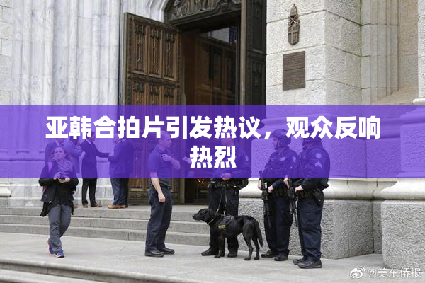 亚韩合拍片引发热议，观众反响热烈