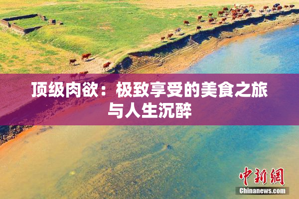 顶级肉欲：极致享受的美食之旅与人生沉醉