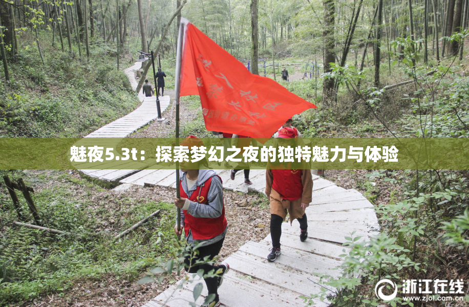 魅夜5.3t：探索梦幻之夜的独特魅力与体验