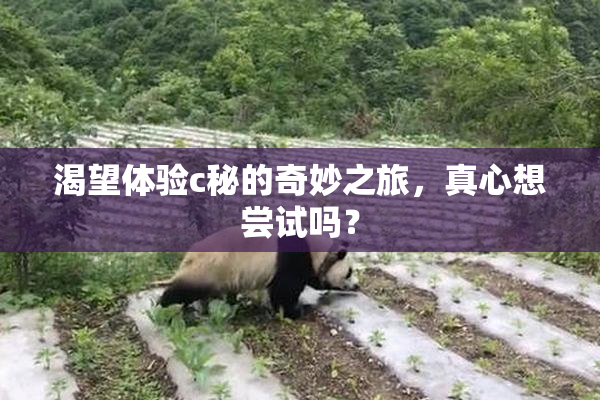渴望体验c秘的奇妙之旅，真心想尝试吗？