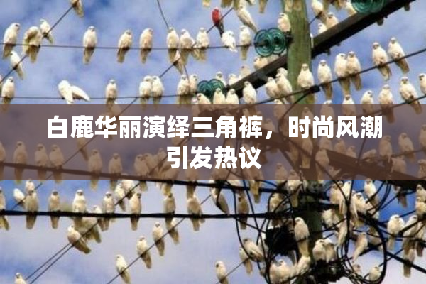 白鹿华丽演绎三角裤，时尚风潮引发热议