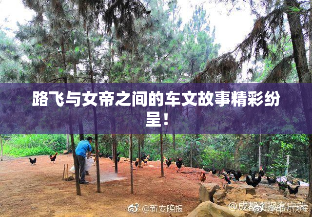 路飞与女帝之间的车文故事精彩纷呈！