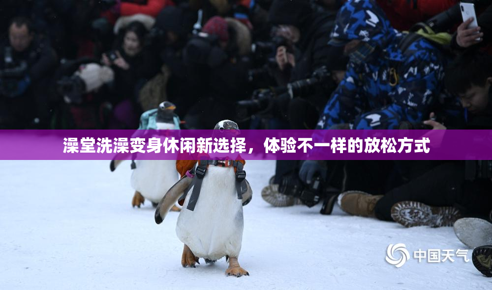 澡堂洗澡变身休闲新选择，体验不一样的放松方式