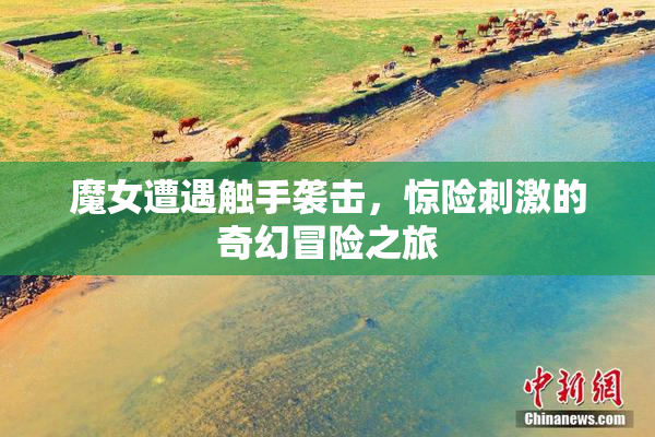 魔女遭遇触手袭击，惊险刺激的奇幻冒险之旅