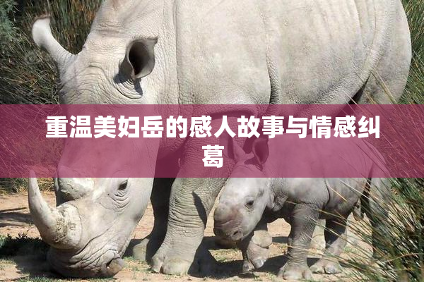 重温美妇岳的感人故事与情感纠葛