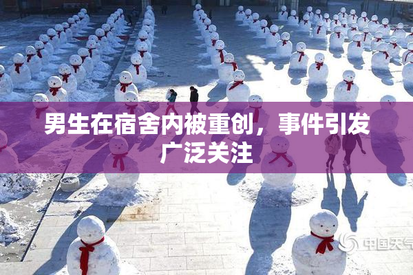男生在宿舍内被重创，事件引发广泛关注