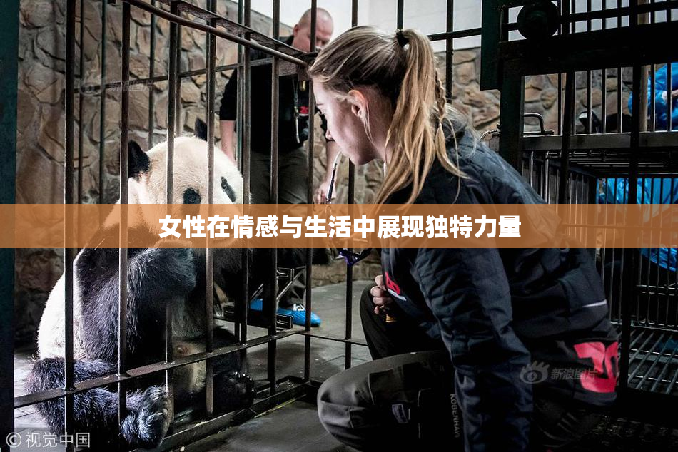 女性在情感与生活中展现独特力量