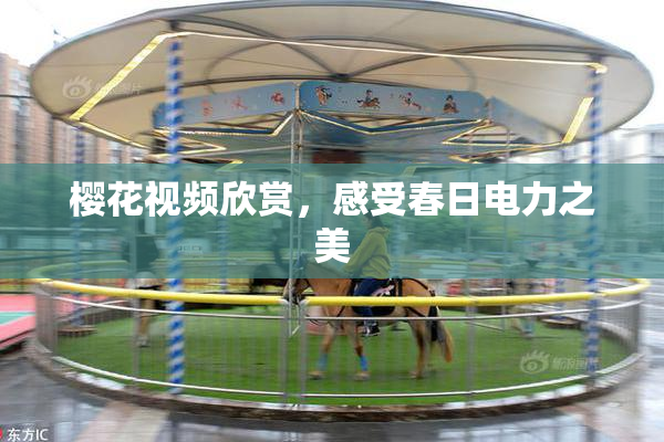 樱花视频欣赏，感受春日电力之美