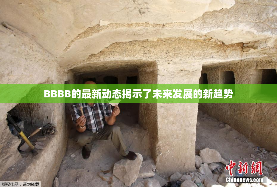 BBBB的最新动态揭示了未来发展的新趋势