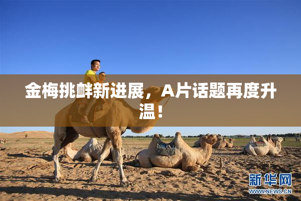金梅挑衅新进展，A片话题再度升温！