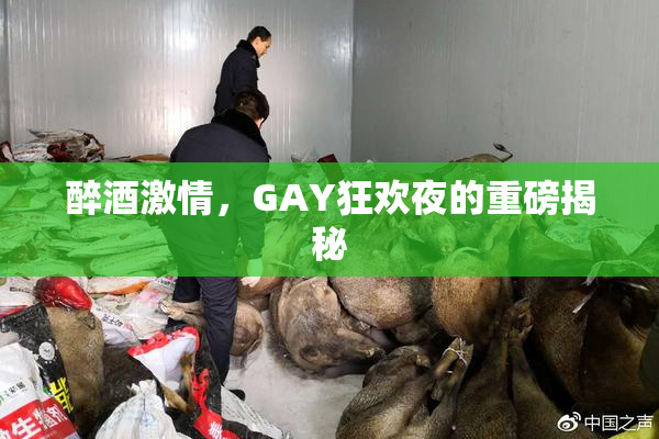 醉酒激情，GAY狂欢夜的重磅揭秘