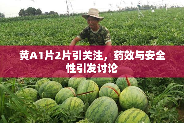 黄A1片2片引关注，药效与安全性引发讨论