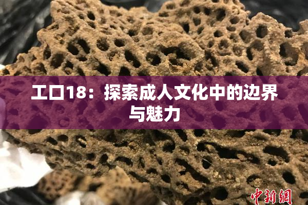 工口18：探索成人文化中的边界与魅力
