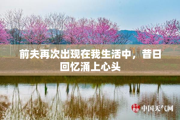 前夫再次出现在我生活中，昔日回忆涌上心头