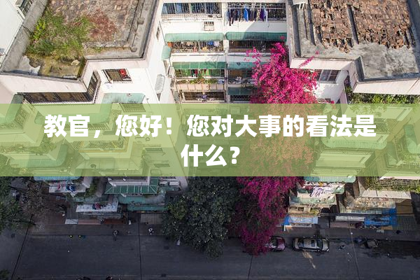 教官，您好！您对大事的看法是什么？