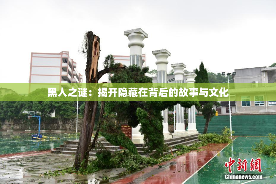 黑人之谜：揭开隐藏在背后的故事与文化
