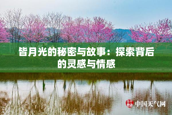 皆月光的秘密与故事：探索背后的灵感与情感