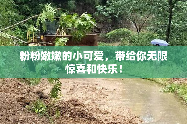 粉粉嫩嫩的小可爱，带给你无限惊喜和快乐！