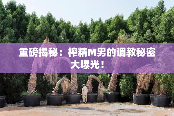 重磅揭秘：榨精M男的调教秘密大曝光！