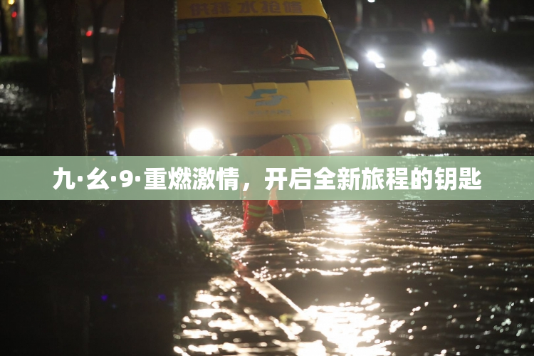 九·幺·9·重燃激情，开启全新旅程的钥匙