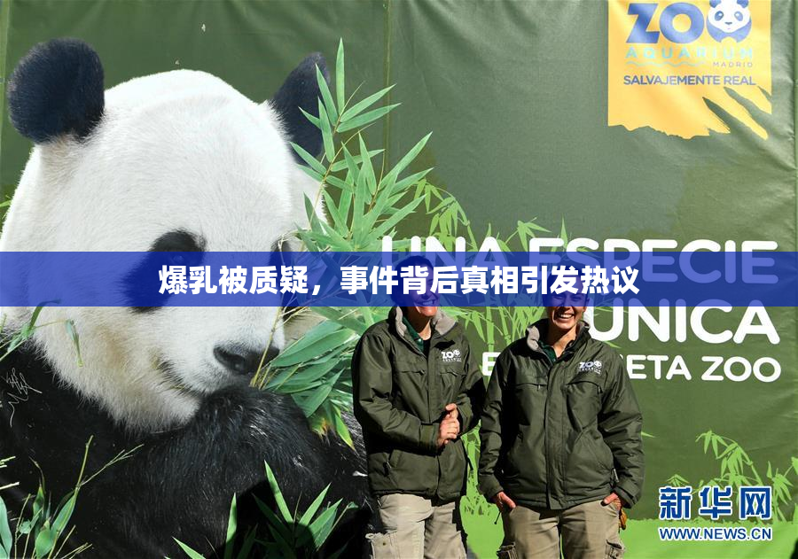 爆乳被质疑，事件背后真相引发热议