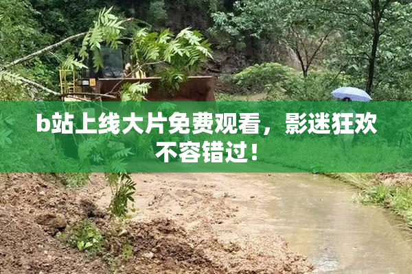 b站上线大片免费观看，影迷狂欢不容错过！