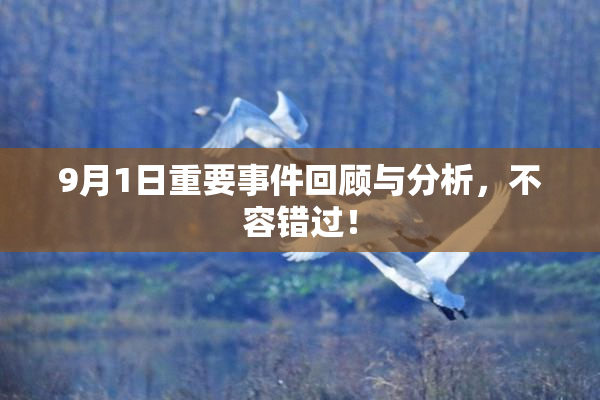 9月1日重要事件回顾与分析，不容错过！