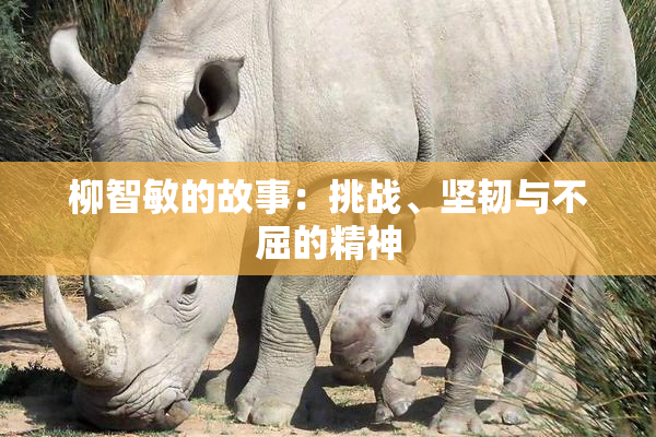 柳智敏的故事：挑战、坚韧与不屈的精神