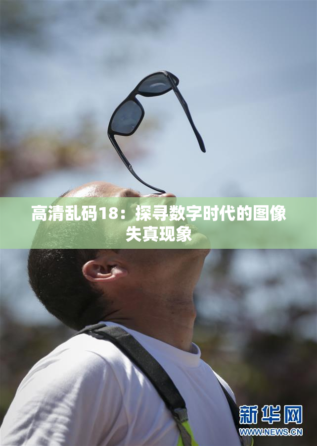 高清乱码18：探寻数字时代的图像失真现象