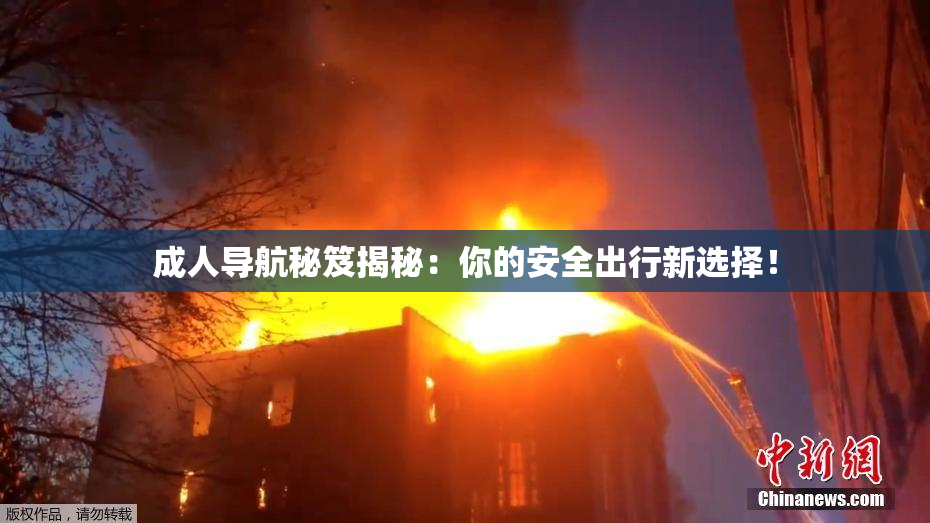 成人导航秘笈揭秘：你的安全出行新选择！