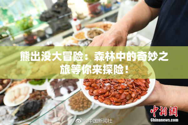 熊出没大冒险：森林中的奇妙之旅等你来探险！