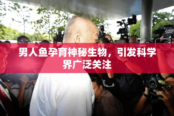男人鱼孕育神秘生物，引发科学界广泛关注