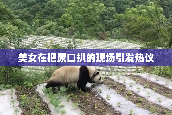 美女在把尿口扒的现场引发热议