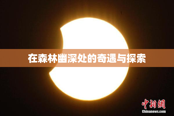 在森林幽深处的奇遇与探索