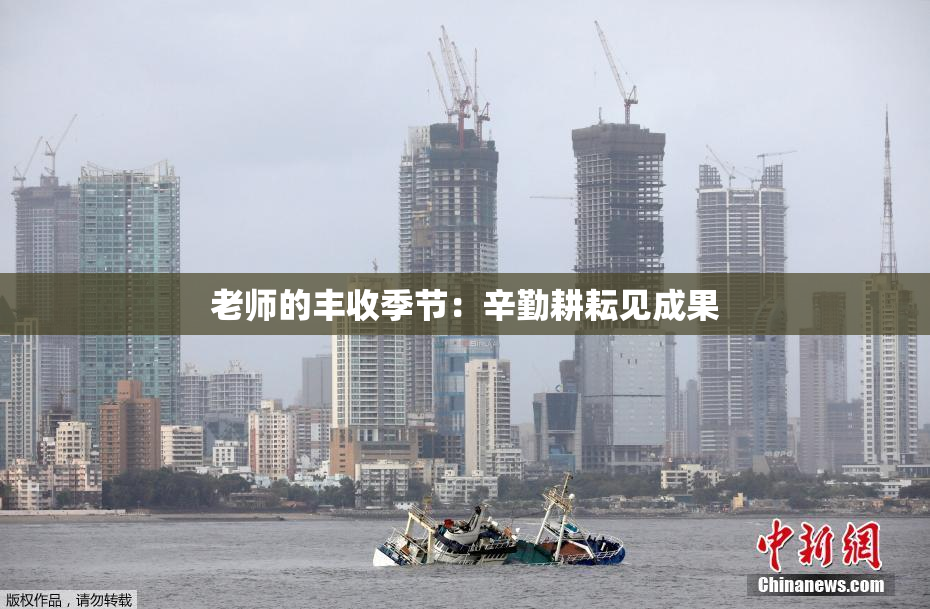 老师的丰收季节：辛勤耕耘见成果