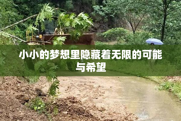 小小的梦想里隐藏着无限的可能与希望