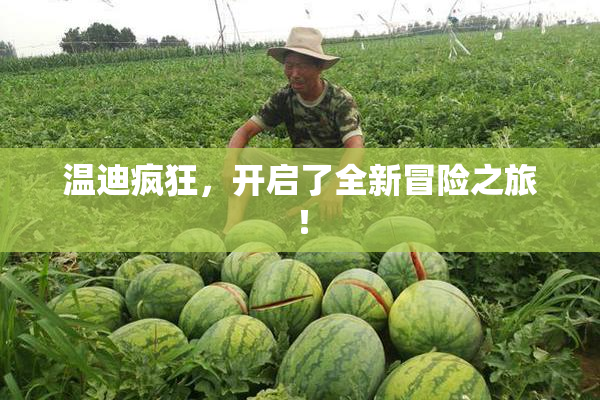 温迪疯狂，开启了全新冒险之旅！