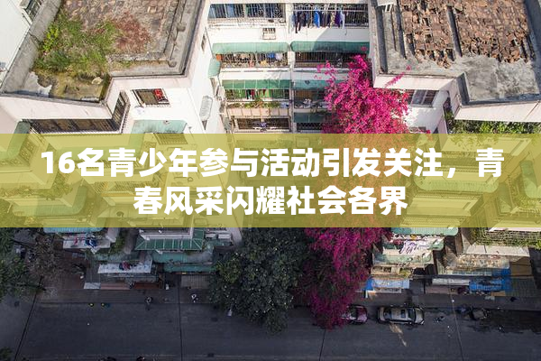 16名青少年参与活动引发关注，青春风采闪耀社会各界